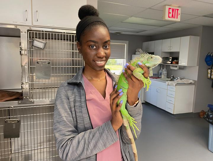 Bird and store exotic animal clinic