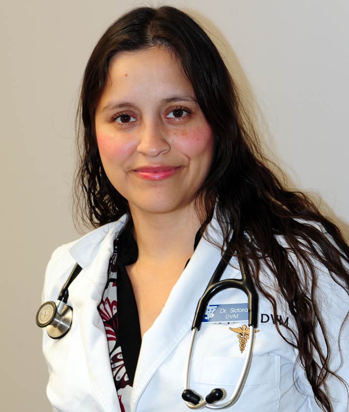 Dr. Norma Sidorak, DVM